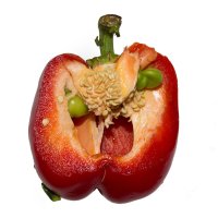 Scream 2 :: Дмитрий Костоусов