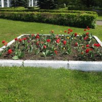 Весенние цветы :: Дмитрий Никитин