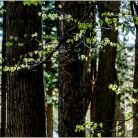 Солнечный денёк :: Aquarius - Сергей