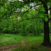 * * * :: Андрей Лукьянов * * * :: Андрей Лукьянов