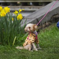 Снимайте скорее! :: Магомед . Снимайте скорее! :: Магомед .