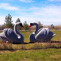 Май..Лебедушки! :: Владимир Май..Лебедушки! :: Владимир