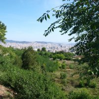 Испания. Каталония. :: Владимир Драгунский Испания. Каталония. :: Владимир Драгунский