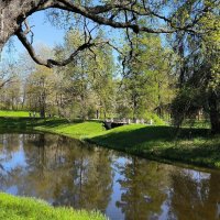 В Александровском парке. :: Ольга 