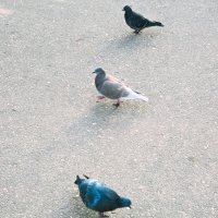 Назва. отсу. :: Денис Безногов