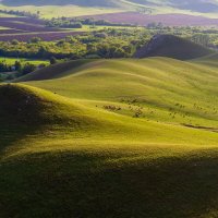 Ладонь Бога :: Максимка Ладонь Бога :: Максимка
