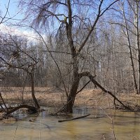 На Ушайке :: Галина Кан