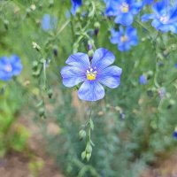 ,,, :: Сергей Тимоновский