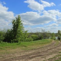 Местные зарисовки. :: Виктор 