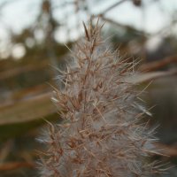 воздушно :: Андрей Петренко