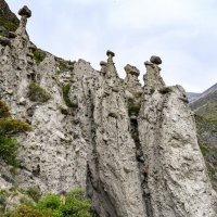 Каменные грибы :: Константин Шабалин