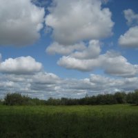 Лето :: Anna Ivanova