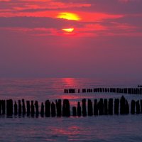 Утро :: Юрий. Шмаков