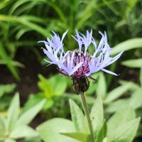 ,,, :: Сергей Тимоновский