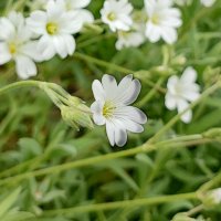 ,,, :: Сергей Тимоновский