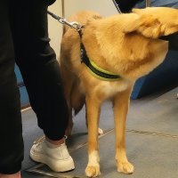 Не нарушая правил. :: Татьяна Помогалова