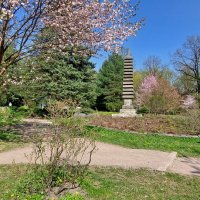 Весна продолжается :: ИРЭН@ .