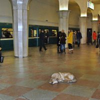 В метро :: Анастасия Смирнова