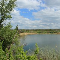 **** :: Виктор 