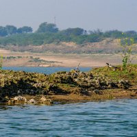 У реки Чамбал :: Георгий А