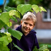 ... :: Вадим Федотов 