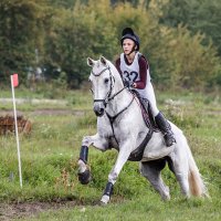 Кросс :: SanSan 