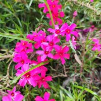 ,,, :: Сергей Тимоновский