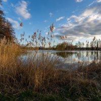 Вокруг озера... :: Николай Гирш Вокруг озера... :: Николай Гирш