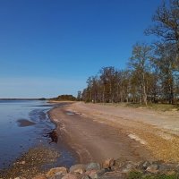 Утренние прогулки.. :: Татьян@ Ивановна