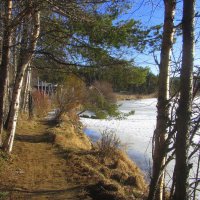 Весна на севере. :: Галина Полина