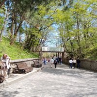 Наполняемся Железноводском :: Виктор 