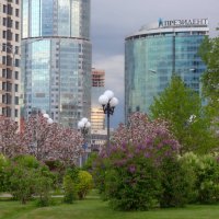 Майский город Е. :: Евгений Тарасов 