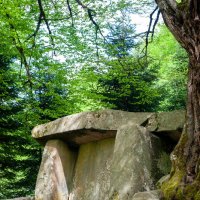 Биосферный заповедник Гузерипль :: Виктор Скаков