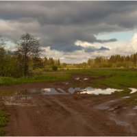 Дождливый май :: Валентин Котляров Дождливый май :: Валентин Котляров