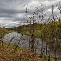 Утро на реке :: Сергей Цветков Утро на реке :: Сергей Цветков
