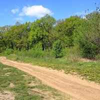 Просёлок :: Евгений Корьевщиков