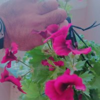 13  ОПЕН (43) :: OPEN WAYS ALL