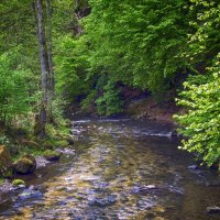 ****** :: Андроник Александр 
