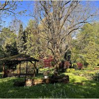 В парке. :: Валерия Комова В парке. :: Валерия Комова