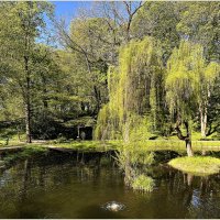 Солнечный денёк. :: Валерия Комова