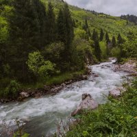 Река Талгар :: LudMila 