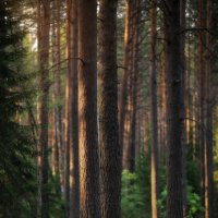 * :: Александр Иванов