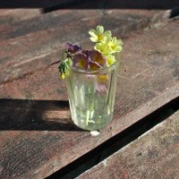 Забытый букетик :: AleksSPb Лесниченко Забытый букетик :: AleksSPb Лесниченко