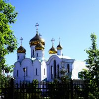 Местный храм. :: Василий Палий
