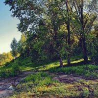 "После майского дождя. Накануне лета"© :: Владимир Макаров