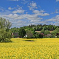 Майский пейзаж :: Андрей K. Майский пейзаж :: Андрей K.