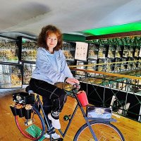 ВЕЛОСИПЕД   БЕЗ   ПЕДАЛЕЙ :: Анатолий Малобродский