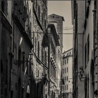 В тени... :: Наталья Rosenwasser В тени... :: Наталья Rosenwasser