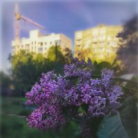 Всё строют и строют.. :: AZ east3