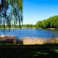 Пейзаж с озером (репортаж из поездок по области). :: Милешкин Владимир Алексеевич Пейзаж с озером (репортаж из поездок по области). :: Милешкин Владимир Алексеевич